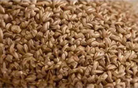 Jute — natural fibres material sample